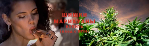 стаф Армянск