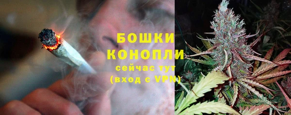 тгк Медвежьегорск
