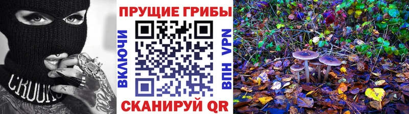 Галлюциногенные грибы мухоморы  Ноябрьск 